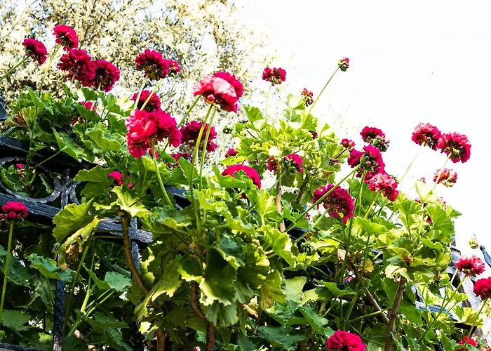 Отель Casa Di Pietra Фетхие