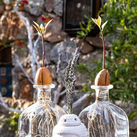 Casa Di Pietra 酒店 费特希耶