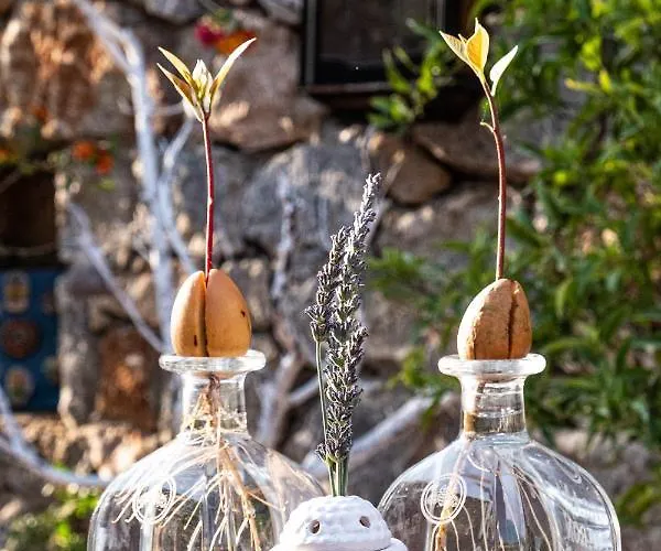 Casa Di Pietra ホテル フェティエ