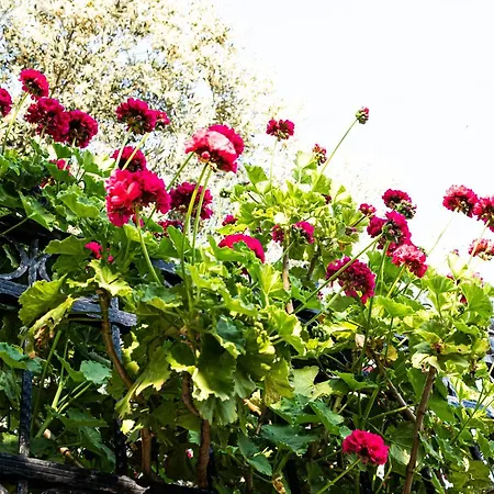 Hotel Casa Di Pietra Fethiye